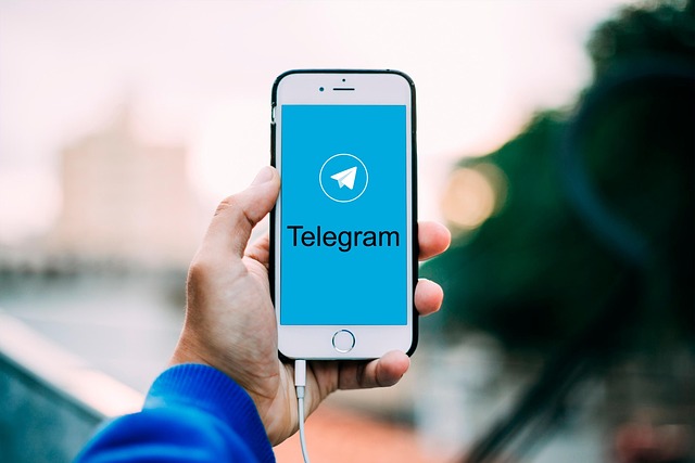 Telegram客服與Live Chat比較：可靠性深度解析